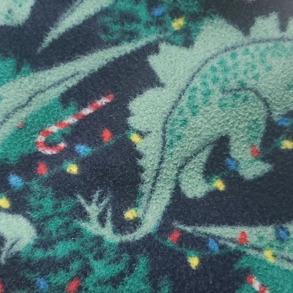 The Children's Place Dinosaur Christmas Fleece Pajama Pants-S